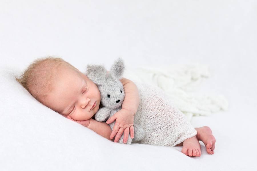 Newborn baby on white with grey rabbit